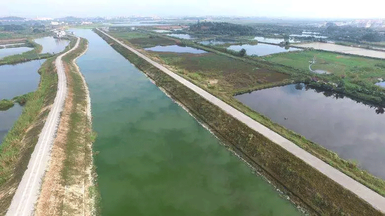 東莞市謝崗鎮謝崗截洪渠河湧原位生態修複服務項目