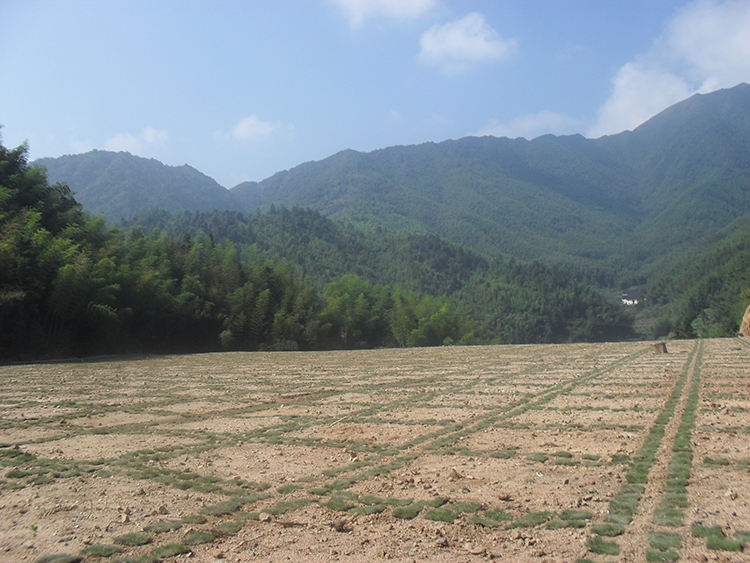 北湖區芙蓉鄉鐵婆岩、瓦渣池礦區重金屬汙染治理工程