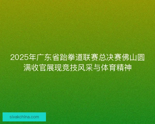 2025年广东省跆拳道联赛总决赛佛山圆满收官展现竞技风采与体育精神