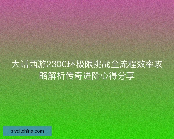 大话西游2300环极限挑战全流程效率攻略解析传奇进阶心得分享
